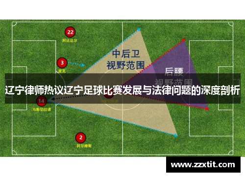 辽宁律师热议辽宁足球比赛发展与法律问题的深度剖析